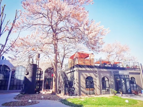 菁英梦谷·常营